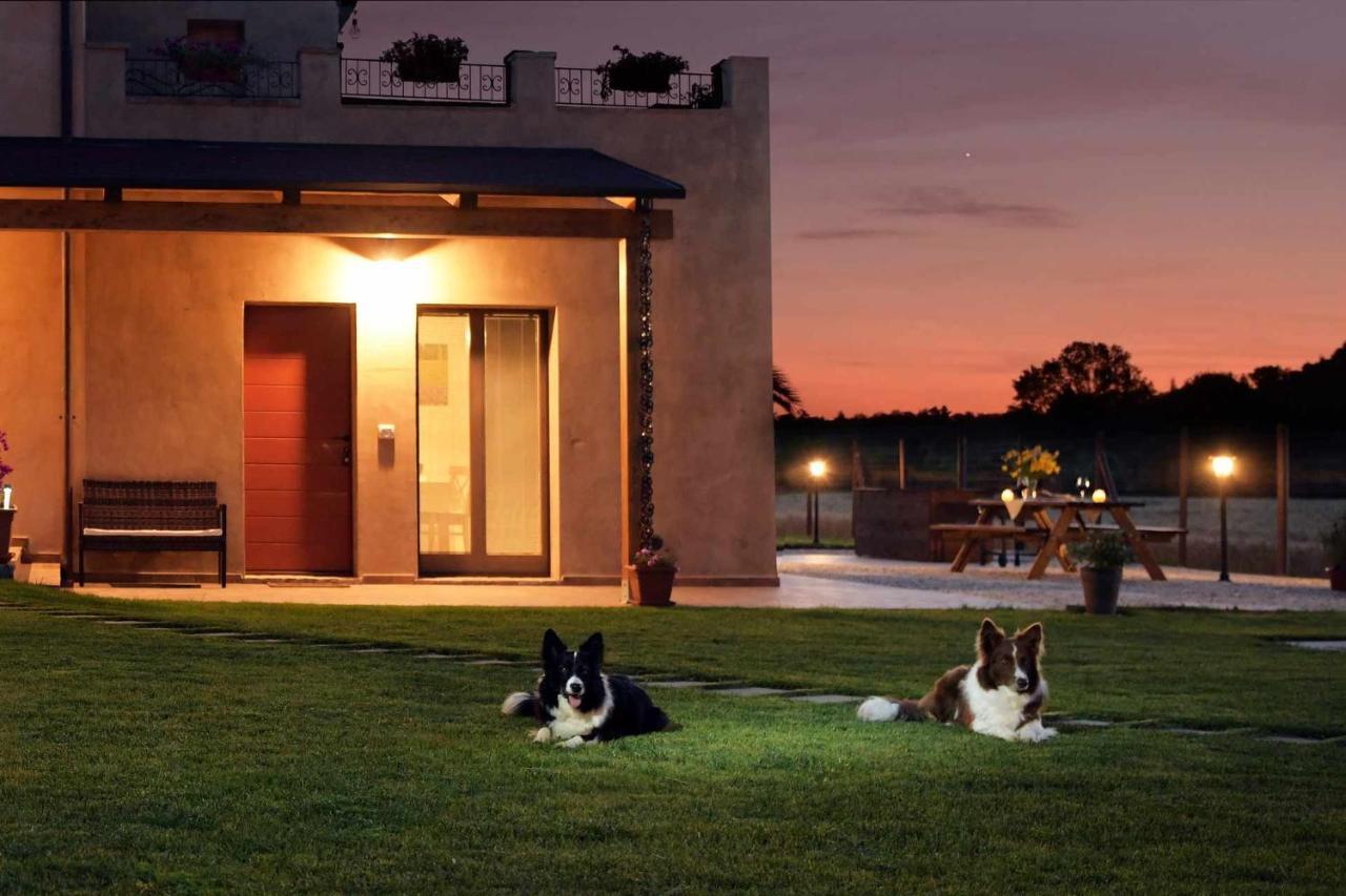 Casa Montefiore 13 Girasoli Lt Nella Tranquilla Campagna Marchigiana อังโกนา ภายนอก รูปภาพ