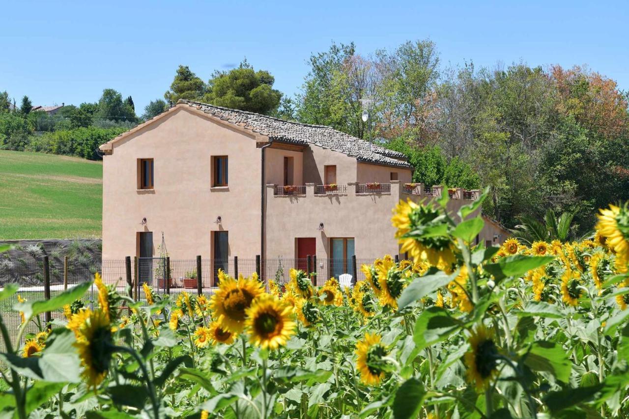 Casa Montefiore 13 Girasoli Lt Nella Tranquilla Campagna Marchigiana อังโกนา ภายนอก รูปภาพ