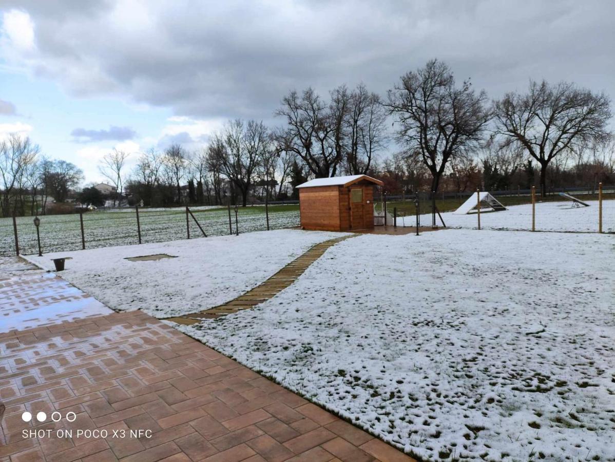 Casa Montefiore 13 Girasoli Lt Nella Tranquilla Campagna Marchigiana อังโกนา ภายนอก รูปภาพ