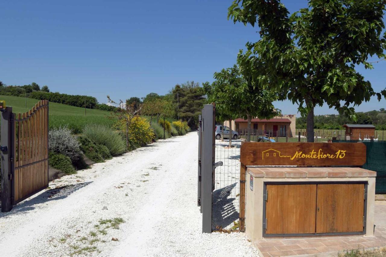 Casa Montefiore 13 Girasoli Lt Nella Tranquilla Campagna Marchigiana อังโกนา ภายนอก รูปภาพ