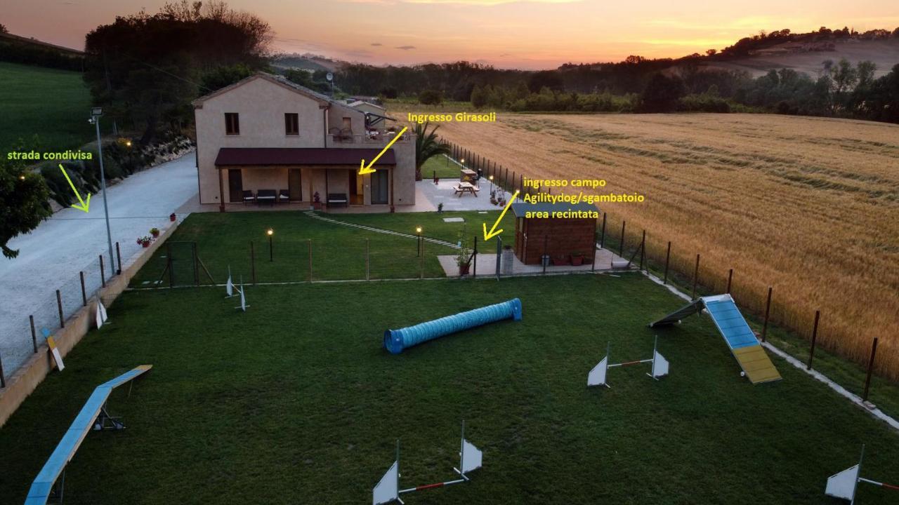 Casa Montefiore 13 Girasoli Lt Nella Tranquilla Campagna Marchigiana อังโกนา ภายนอก รูปภาพ