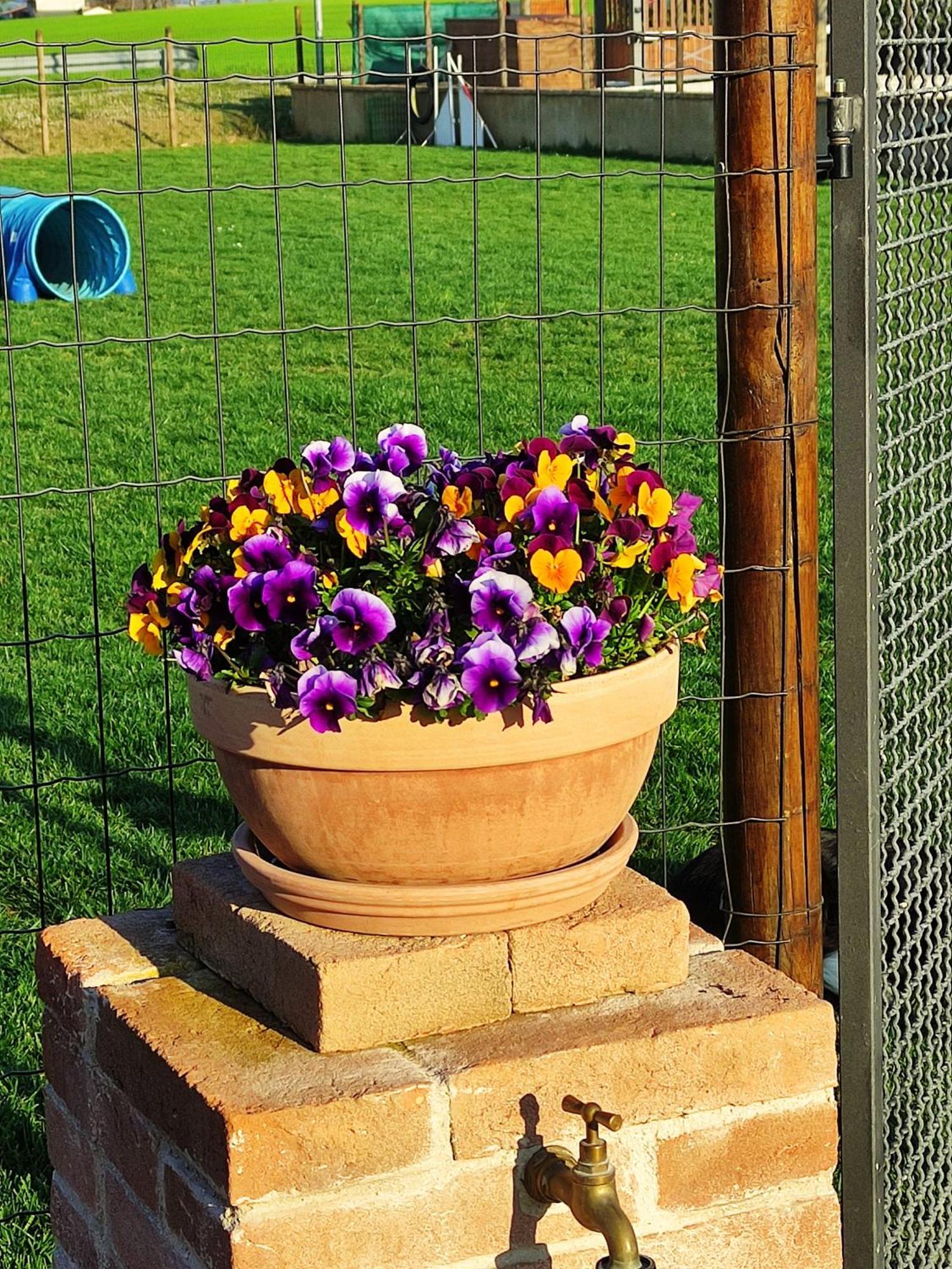 Casa Montefiore 13 Girasoli Lt Nella Tranquilla Campagna Marchigiana อังโกนา ภายนอก รูปภาพ